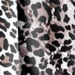 Swimwear Promotion Store -Swimwear Promotion Store GUEST 2271abdc bc72 4e0c a358 007d3a4bcecc