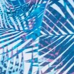 Swimwear Promotion Store -Swimwear Promotion Store GUEST 5f60c667 4b4d 45c6 8cf9 8e1962b62edf