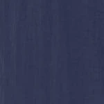 Swimwear Promotion Store -Swimwear Promotion Store GUEST 7cb71d3d 3455 46f7 afba 000bb0fe4643