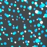 Swimwear Promotion Store -Swimwear Promotion Store GUEST 8ed99c1b a53a 4cc3 b766 130671711966