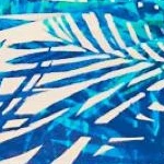 Swimwear Promotion Store -Swimwear Promotion Store GUEST d33caf96 9c07 4bfe 9ca1 8d24ac2d4e62 1